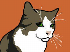 Catfood-McFly