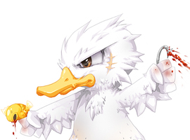 RockoDucko
