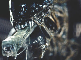 PredatorsBestPrey