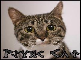 PsyncCat