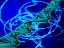 Neohelix