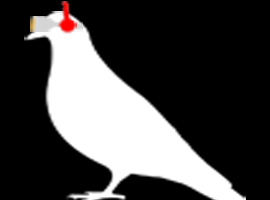 DJPigeon