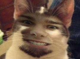 wanwandrew