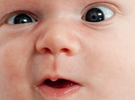 warchild1488