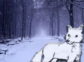 WinterFoxBR