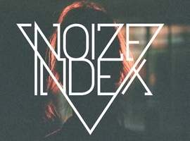 NoizeIndex
