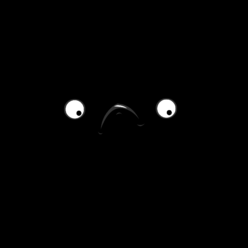 QusaiQueelight