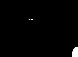 phantom3213