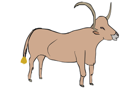 JacobSzlek