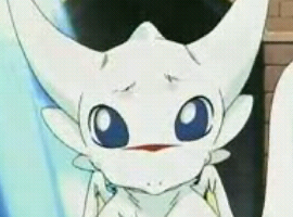 Seadragon07