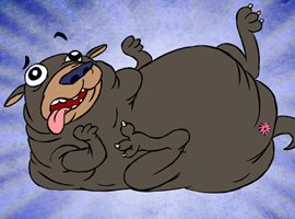 BloatedDog