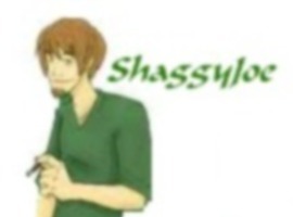 ShaggyJoe