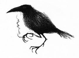 RaidenTheBird