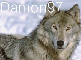 Damon97