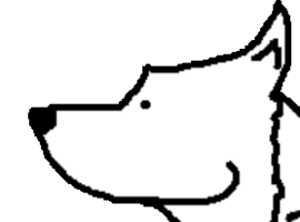 JefferyWolf