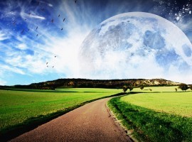 Onderwish