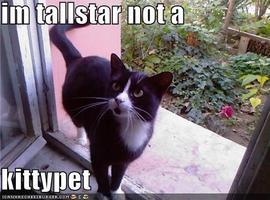 Tallstar