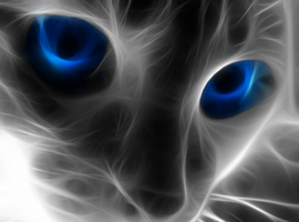 catpop99