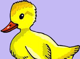TheDuckofdestiny