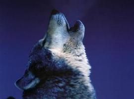 arw90