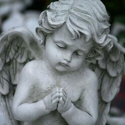 ANGELGRIS