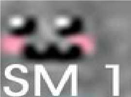 ShooopMedia