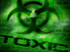 soon2btoxic
