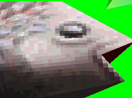 Flumpmaster