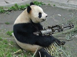 Contraband678