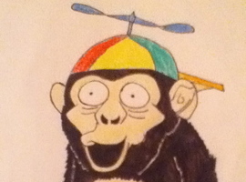 ThePropellerMunki