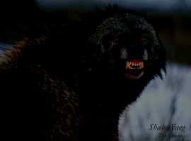 ShadowfangInnovia