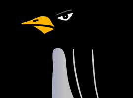 DaPenguinPaladin