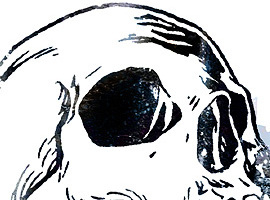 FEARxVAMP