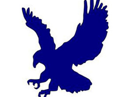 blueeaglegamer