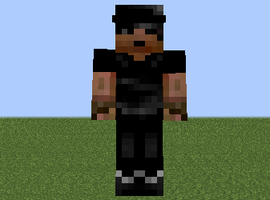 walkertheminer