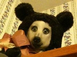 TeddyLikesToPlay