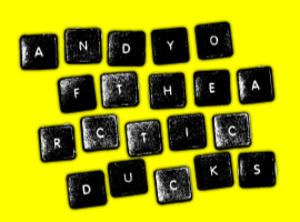 AndyOfTheArcticDucks