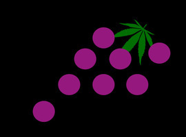 GravityGrapes