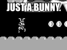 SmallBunny