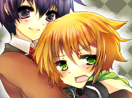 plummdrop