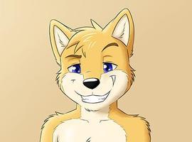 JetDingo