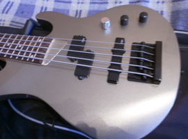 NeZversStudio