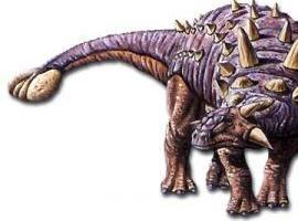 sambertoothtiger