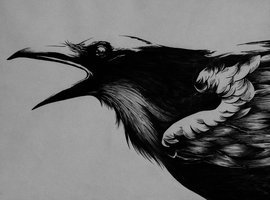 Blessedraven