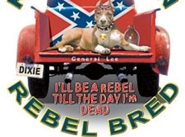 rebelbred
