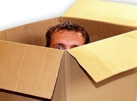 Boxman-Bonjours0