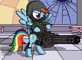 RainbowDash17