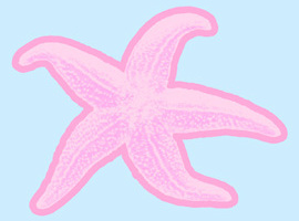 xStarfish