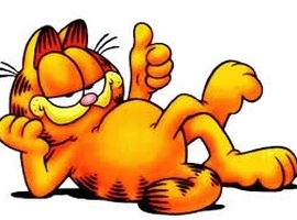 13cat1
