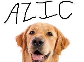 Azic